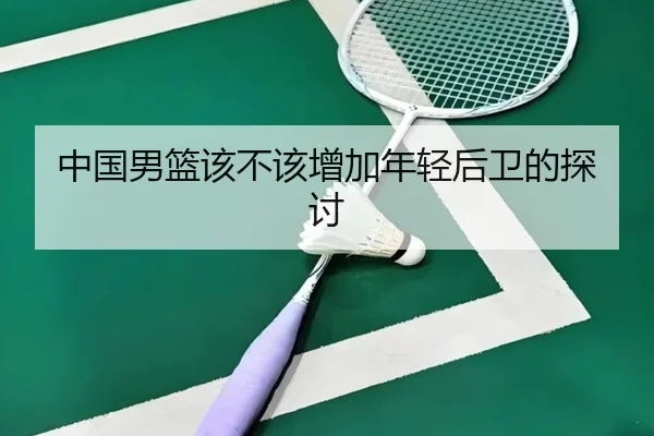 中国男篮该不该增加年轻后卫的探讨